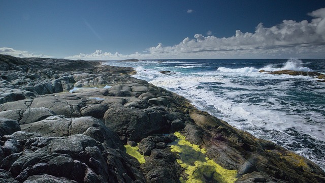 Free Norway Coast photo and picture