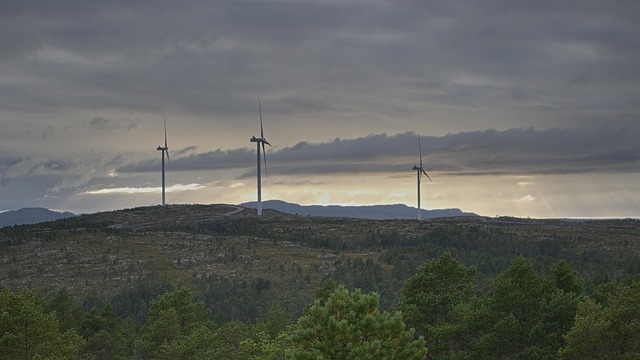 Free Country Norway photo and picture