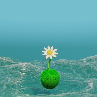 Flor, Arte 3D, Oceano, Margarita