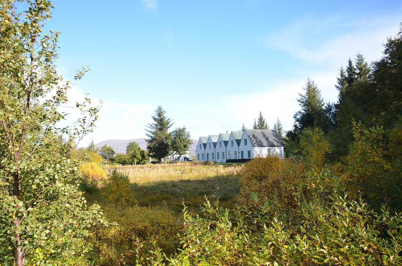 Houses - free online jigsaw puzzle photo