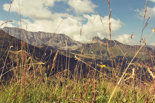 Berge, Gras, Wiese, Natur, Landschaft