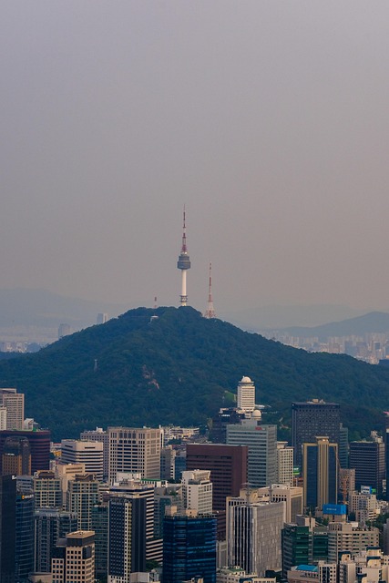 100개 이상 무료 남산타워 및 서울 사진 - Pixabay