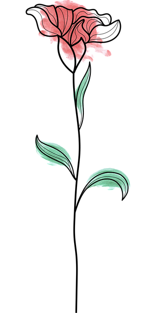 Free Flower Nature vector and picture