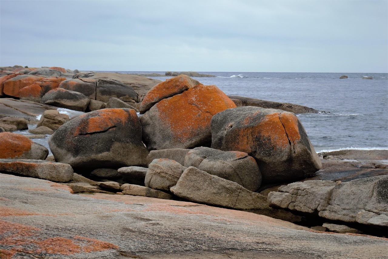 Tasmania Bicheno - Foto gratis en Pixabay - Pixabay