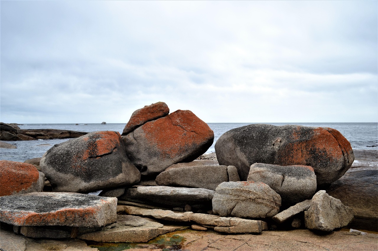 Tasmania Bicheno - Foto gratis en Pixabay - Pixabay
