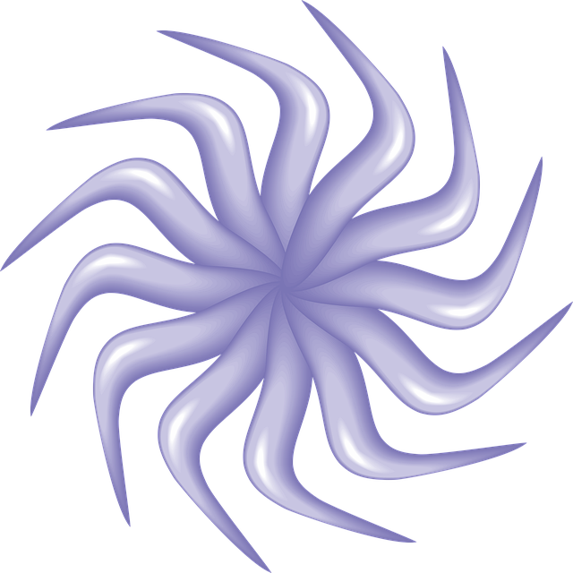 Ilustração De Flor, Ilustrador