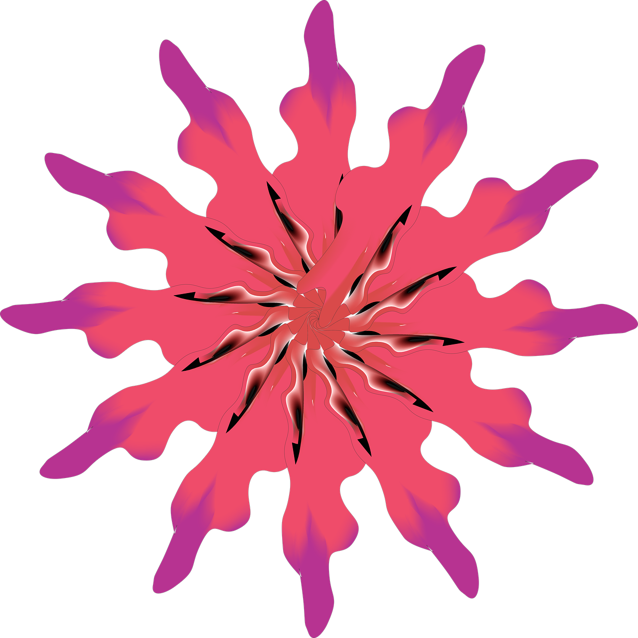 Flower illustration illustrator free image on pixabay