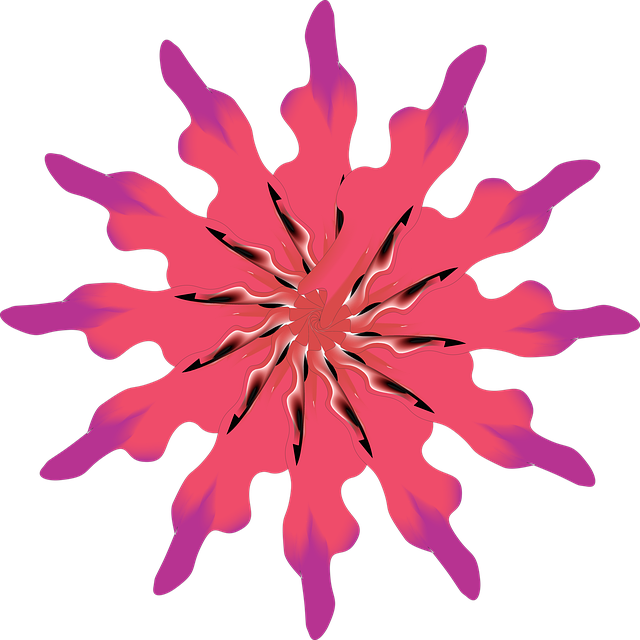 Ilustração De Flor, Ilustrador