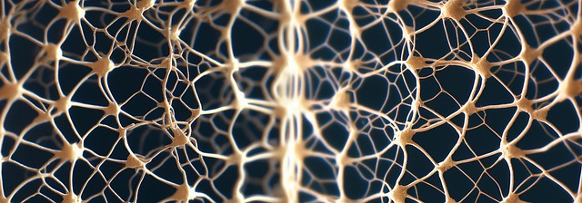 Free neurons brain networks illustration