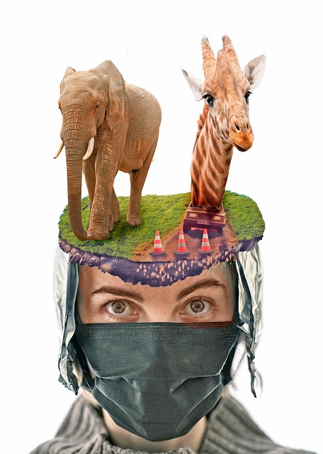 Elefant, Giraffe, Safari, Porträt, Frau