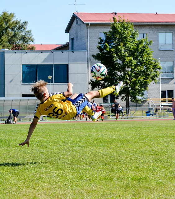 Free Football Soccer photo and picture