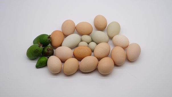 Huevos, Guayaba, Frutas, Comida