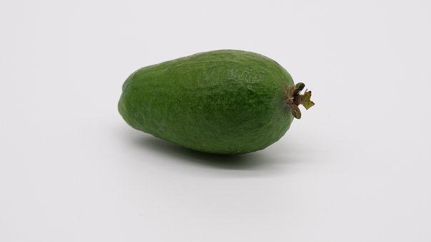 Fruta, Planta Subtropical, Guayaba