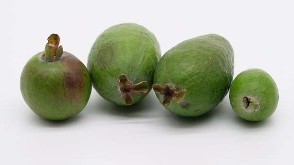 Frutas, Plantas Subtropicales, Guayaba