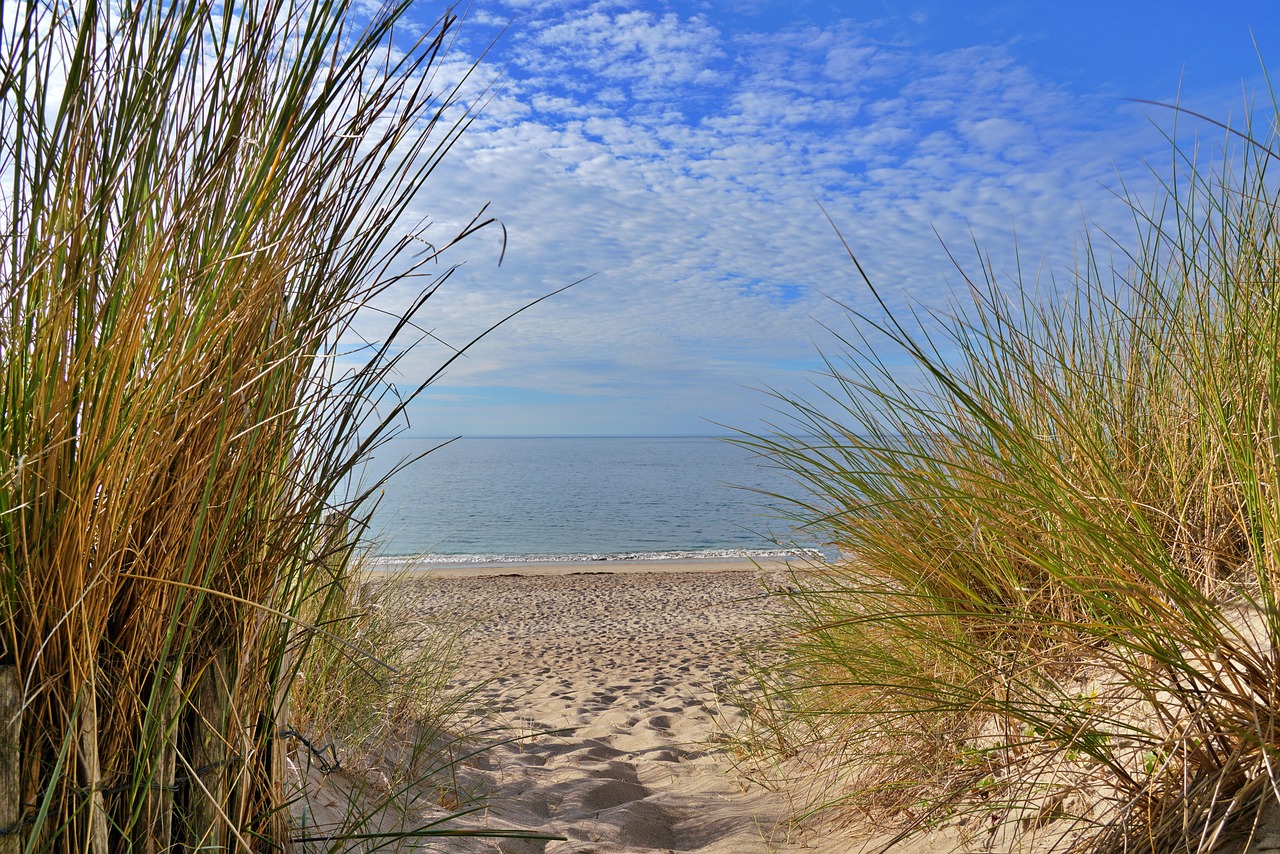 beach-7428459_1280.jpg