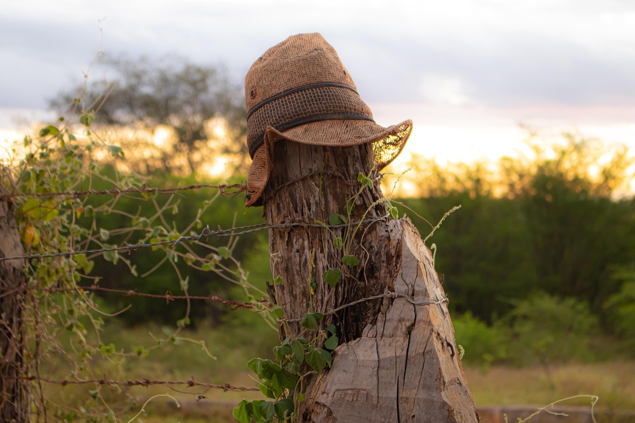 Homme De Paille Chapeau Bonhomme - Photo gratuite sur Pixabay - Pixabay