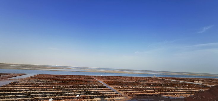 Free Field Labour Working photo and picture