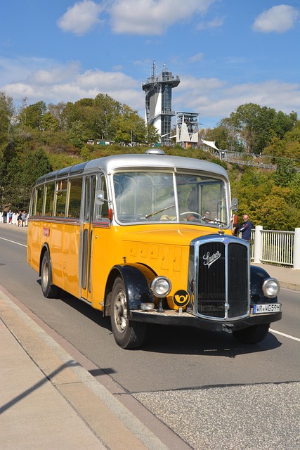 Free Bus Gdr photo and picture