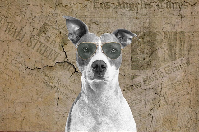 Free dog 3d art newspaper background illustration