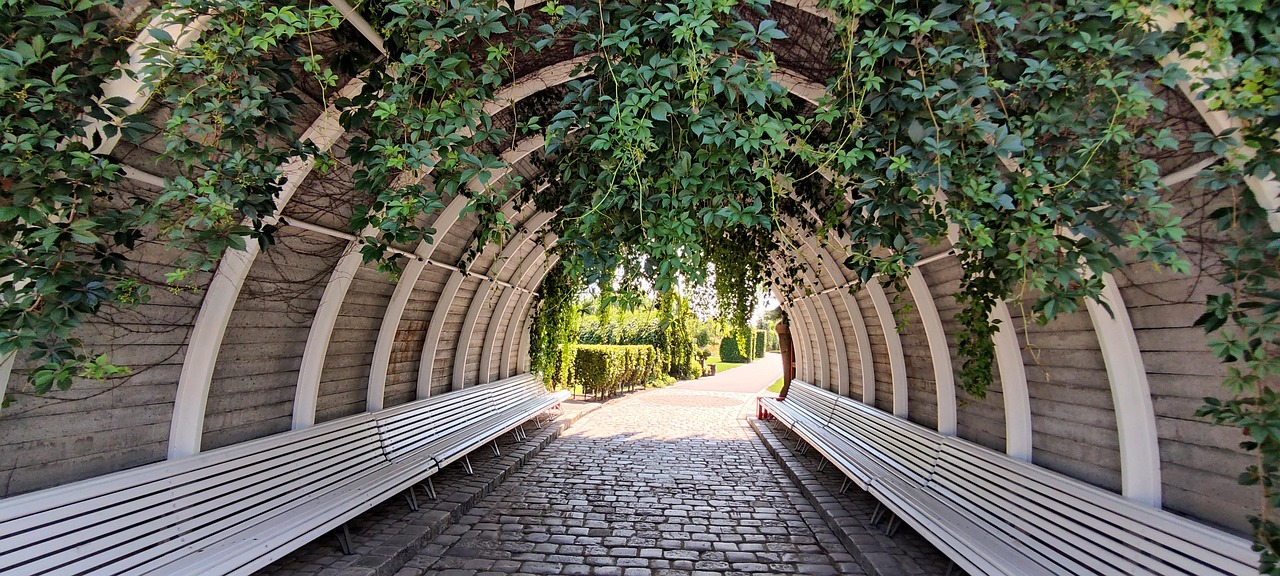 Botanik Tunnel Efeu - Kostenloses Foto auf Pixabay