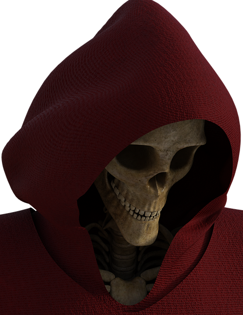 Download free HD stock image of Skull Skeleton Free skull skeleton halloween illustration