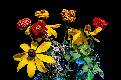 Free Dark Bouquet photo and picture