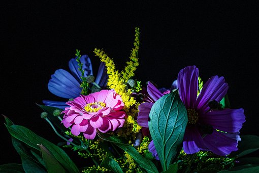 Free Dark Bouquet photo and picture
