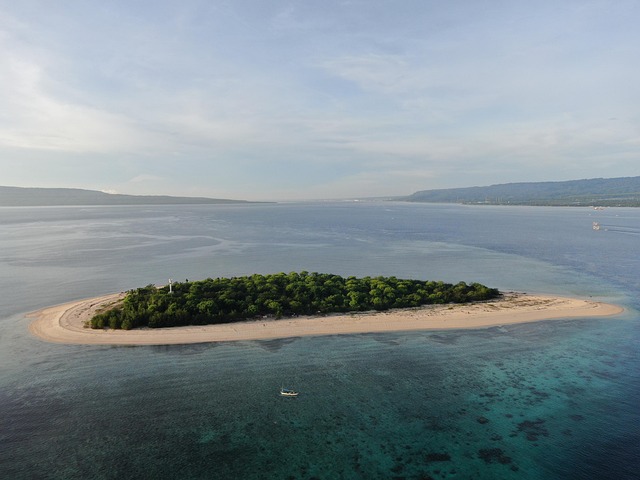 Free Beach Sea photo and picture