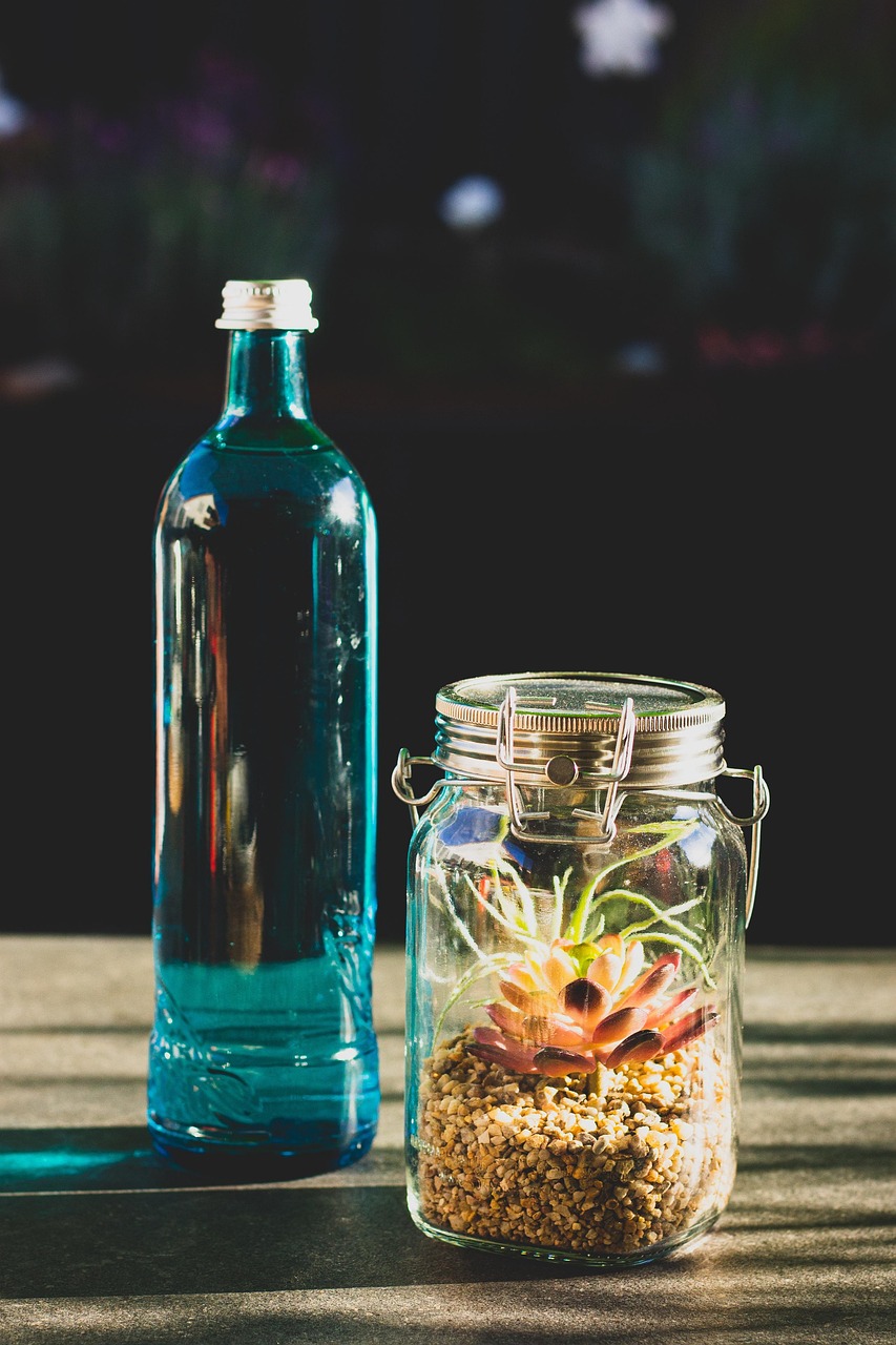 Bouteille En Verre Pour Terrarium - Support Décoratif Cloche Transparente Pour Plantes De Bureau