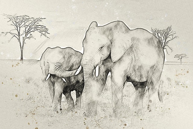 Free africa tanzania national park illustration