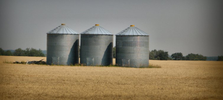 Free Grain Agriculture photo and picture