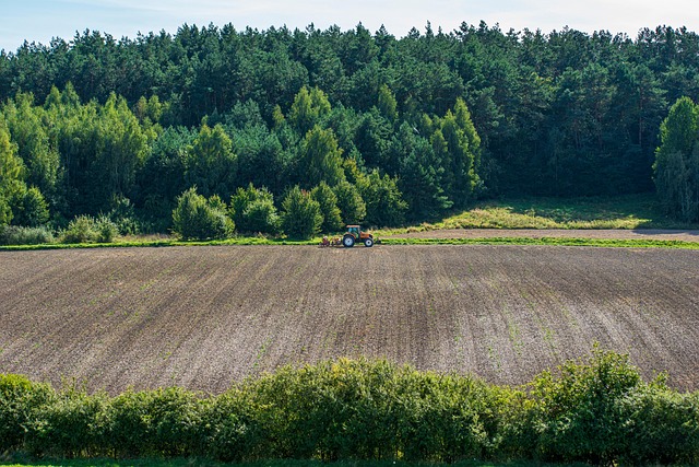 Free Field Orka photo and picture