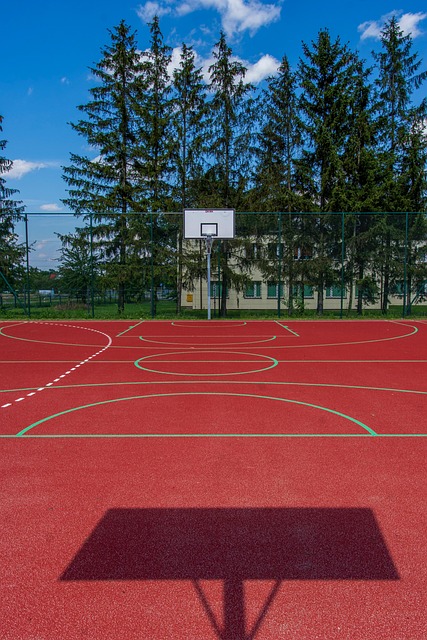 Free Basketball Sport photo and picture