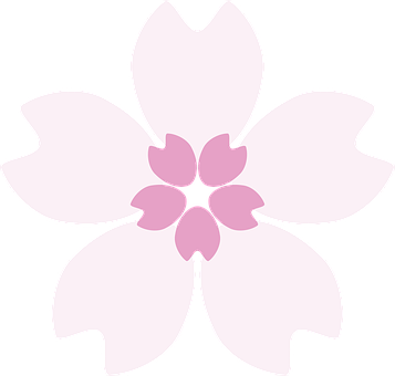 Free Sakura Cherry Blossom vector and picture