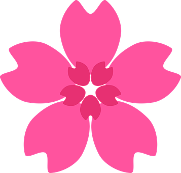 Free Sakura Cherry Blossom vector and picture