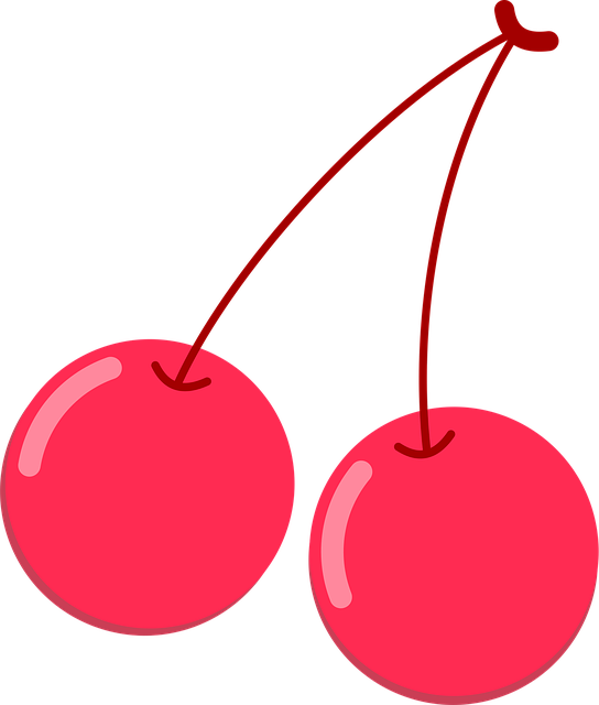 Free Cherry Food vector and picture
