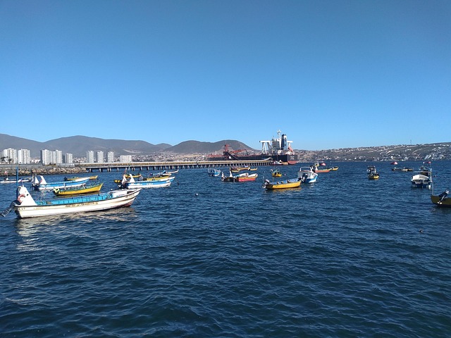 Coquimbo Fourth Region Chili Free photo on Pixabay Pixabay