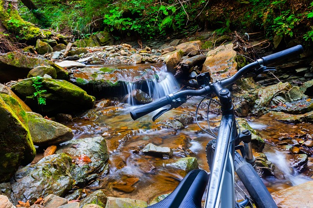 Fahrrad, Reisen, Natur, Wald, Strom