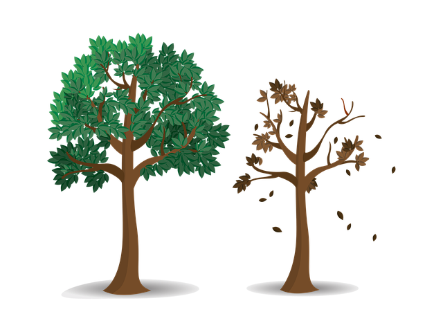 Free trees autumn fall illustration