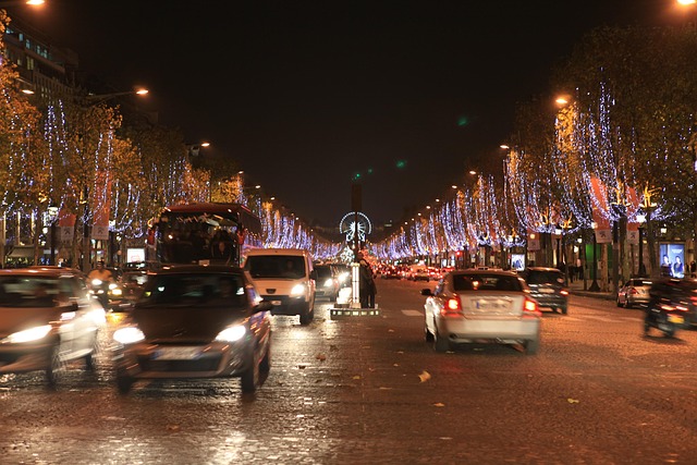 Free Champs Elysees Paris photo and picture