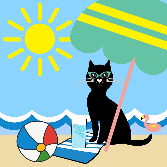 Free cat black cat pet illustration