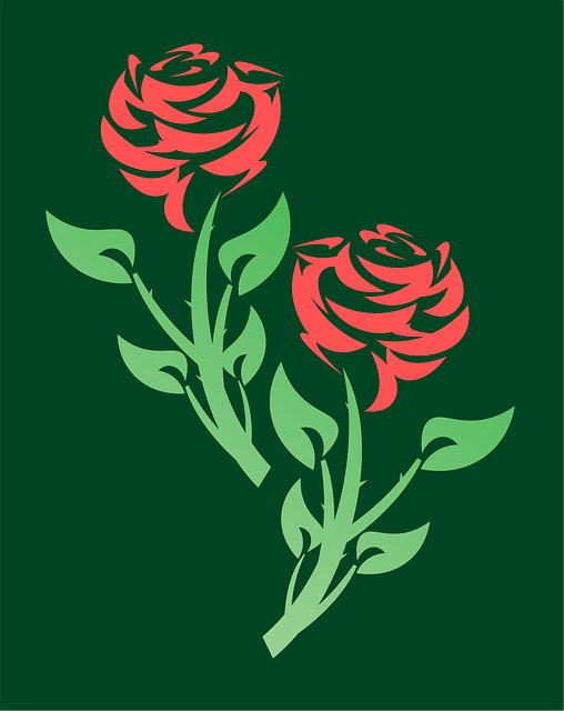 Roser, Blomster, Blomsterhandler, Natur