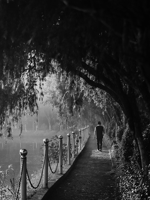 Free Promenade Lake photo and picture