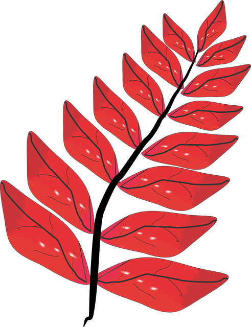 Free leaves 3d nature illustration