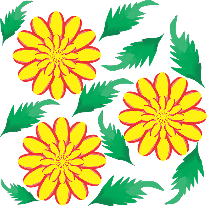 kuvio-luonne-kukka-ilmainen-kuva-pixabayssa-pixabay