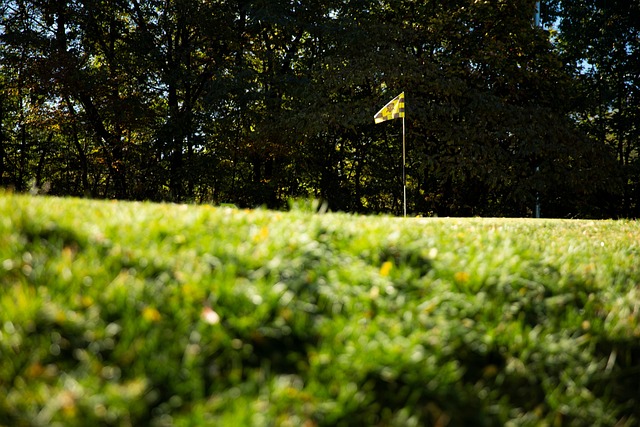 Free Golf Louis Hills photo and picture