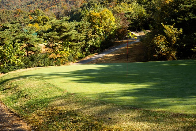 Free Golf Louis Hills photo and picture