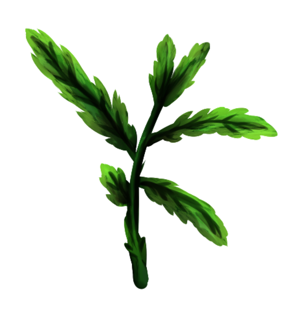 Free Leaf Plants illustration and picture