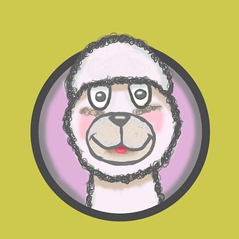 Alpakka, Dyr, Lama, Søt, Ull, Sau