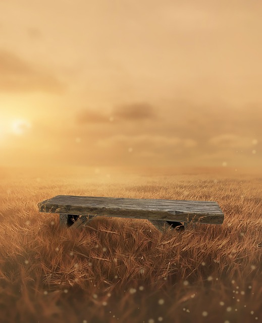 Free autumn bench field illustration
